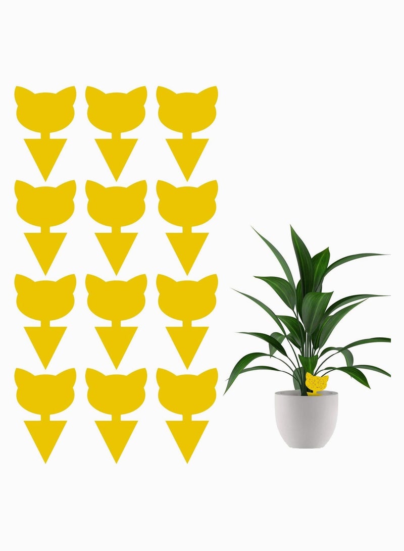 سيوسي Sticky Trap, Fruit Fly and Fungus Gnat Trap Killer Indoor and Outdoor, such as Whiteflies, Aphids, Leafminers, Protect the Plant, Non-Toxic and Odorless 12 Pack - Image 1