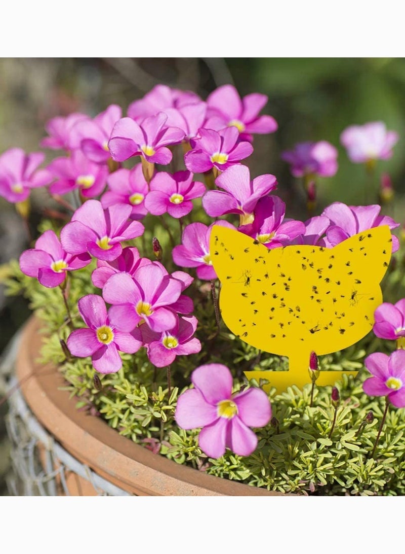 سيوسي Sticky Trap, Fruit Fly and Fungus Gnat Trap Killer Indoor and Outdoor, such as Whiteflies, Aphids, Leafminers, Protect the Plant, Non-Toxic and Odorless 12 Pack - Image 3