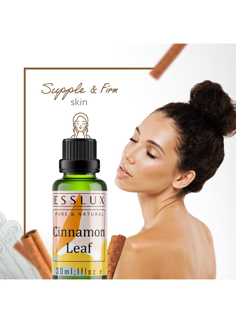 ESSLUX Esslux Cinnamon Leaf Essential Oil - 100% Pure Natural Cinnamon Oil for Diffuser, Skin & Aromatherapy | Warm, Spicy Aroma Perfect for Candle & Soap Making - Therapeutic Grade - 15 ML  - Image 5