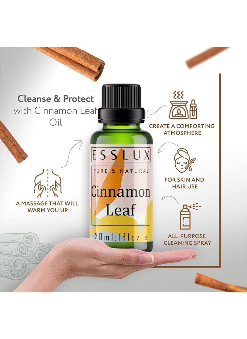 ESSLUX Esslux Cinnamon Leaf Essential Oil - 100% Pure Natural Cinnamon Oil for Diffuser, Skin & Aromatherapy | Warm, Spicy Aroma Perfect for Candle & Soap Making - Therapeutic Grade - 15 ML  - Image 2