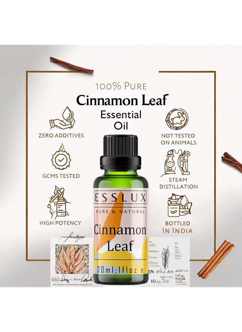 ESSLUX Esslux Cinnamon Leaf Essential Oil - 100% Pure Natural Cinnamon Oil for Diffuser, Skin & Aromatherapy | Warm, Spicy Aroma Perfect for Candle & Soap Making - Therapeutic Grade - 15 ML  - Image 4