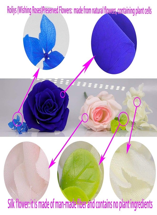 roliys Preserved Real Roses with Colorful Mood Light Wishing Bottle, Eternal Rose，Never Withered Flowers, Table Decor,Christmas Anniversary Valentine's, Blue 4.3inch, 1pcs - Image 4