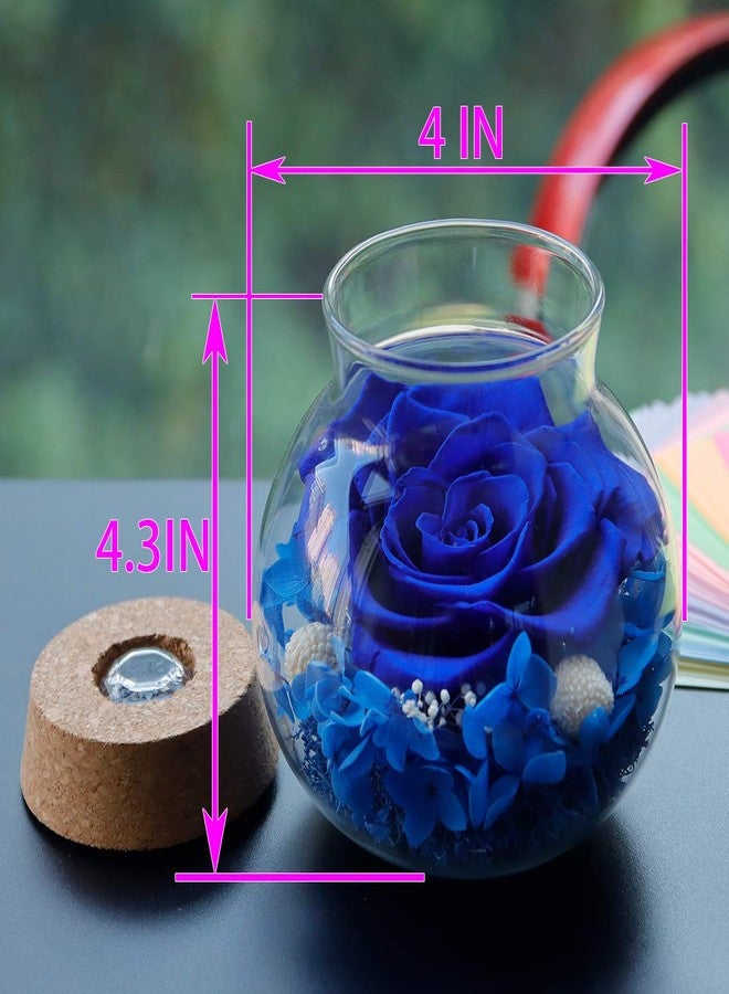 roliys Preserved Real Roses with Colorful Mood Light Wishing Bottle, Eternal Rose，Never Withered Flowers, Table Decor,Christmas Anniversary Valentine's, Blue 4.3inch, 1pcs - Image 2