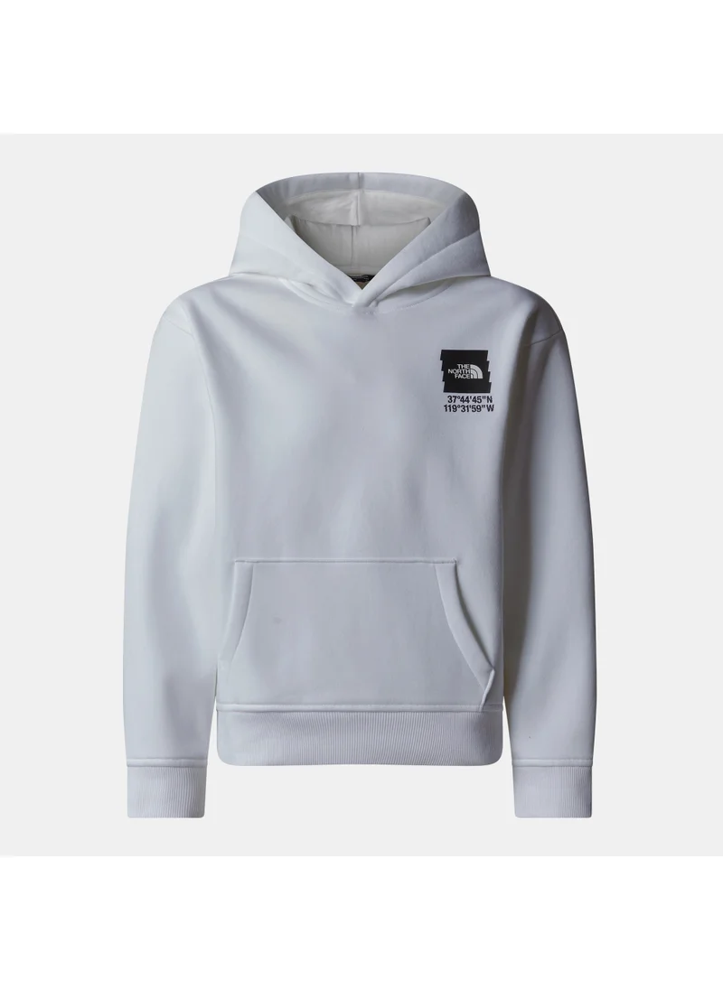 THE NORTH FACE Kids' Coordinates Graphic Hoodie