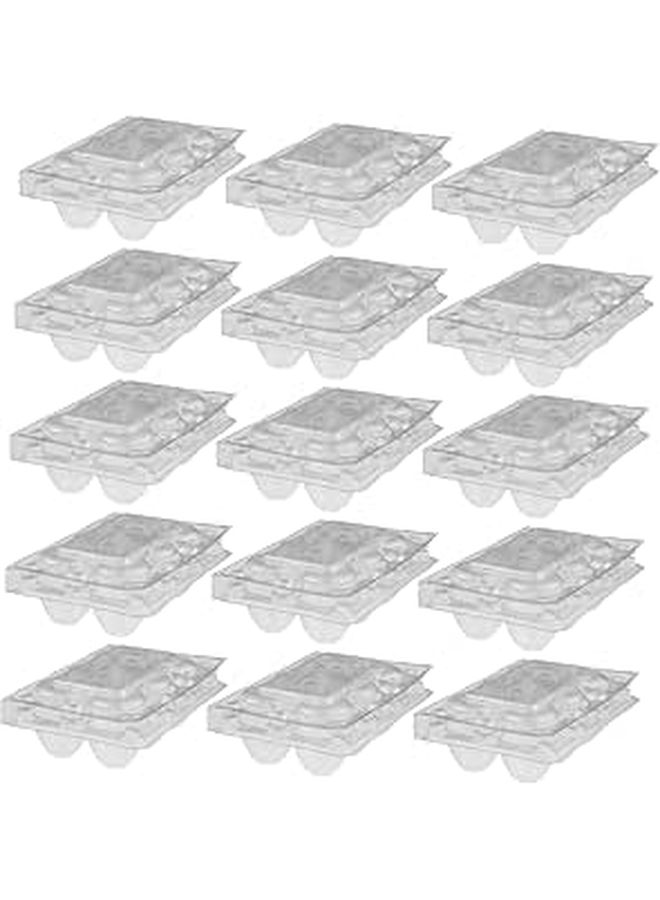 Reusable PET Quail Egg Carton 6 Pack Sturdy Storage Holder For Refrigerator Camping Home Use - Image 1
