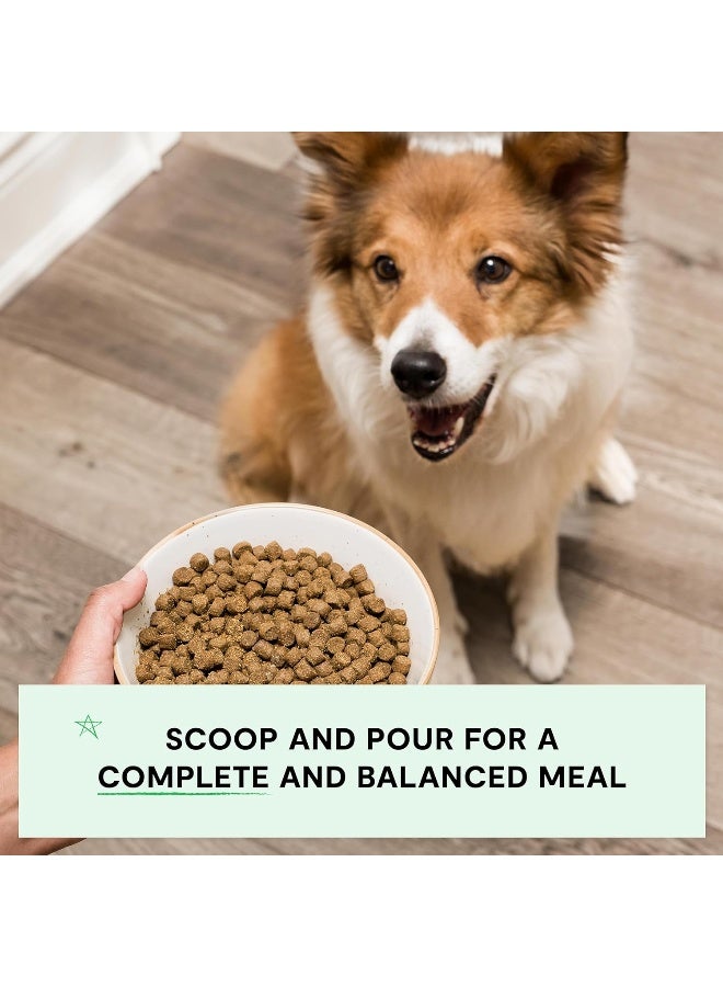 Open Farm Grain Free Homestead Turkey & Chicken Dry Dog Food - 4 LB/1.81Kg - Image 2