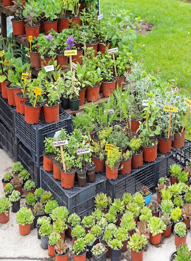 Delxo 100pcs 4inch Reusable Plastic Planter Pots, Waterproof Nursery Seedling Pots with Drain Holes, Indoor Plant Starters, Red - Image 3