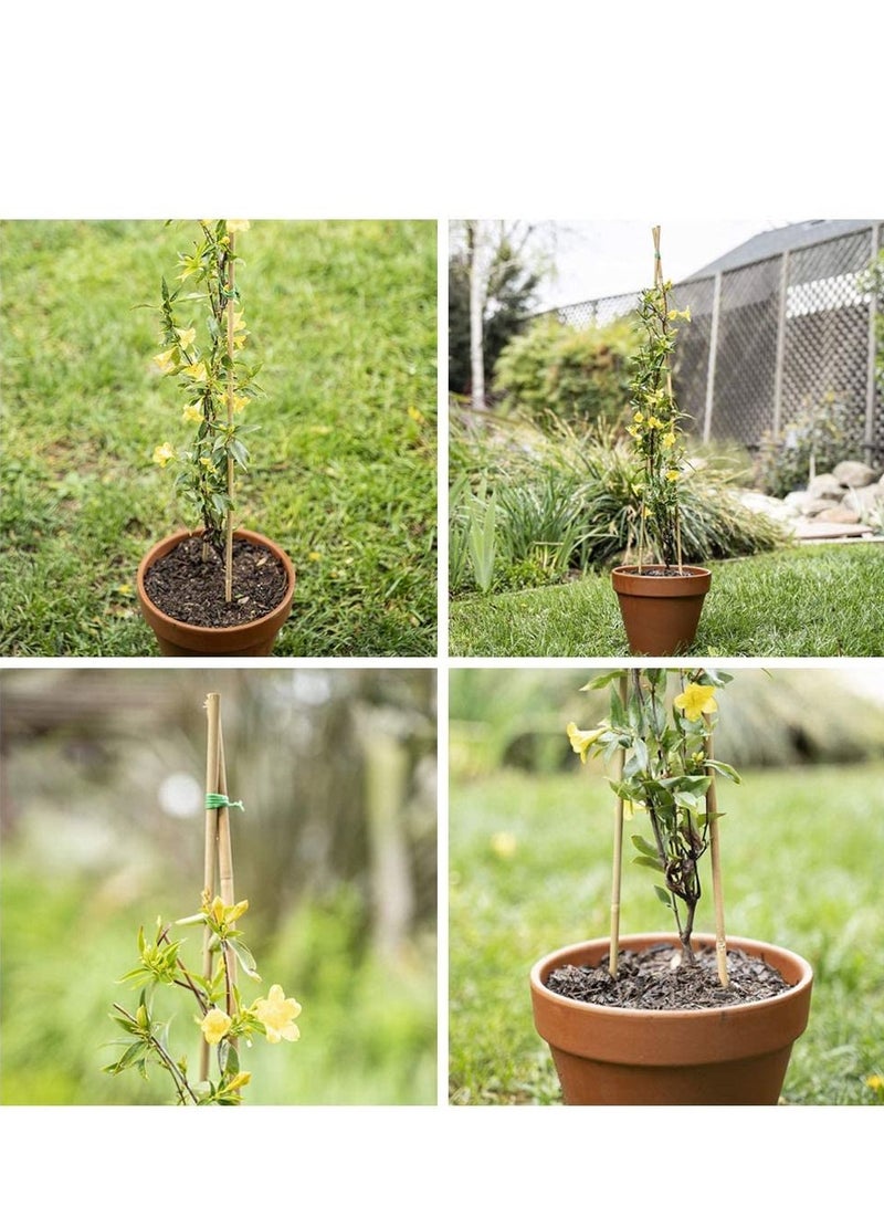 LINGWEI Bamboo Pole Plant Support Stake Stick Garden Stake  - Image 4