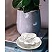 oumeiben Passive Oil Diffuser for Essential OilNonElectric Porcelain Aromatherapy Diffusers for Small Mini Room Desk Decorative Bathroom - Image 4