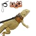 SEZDEKI 3 Pack Bearded Dragon Harness and Leash Set Adjustable Soft Leather Lizard Harness Leash Small Animal Traction Rope Training Walking Vest Accessories for Reptile Squirrel Rat Brown - Image 1