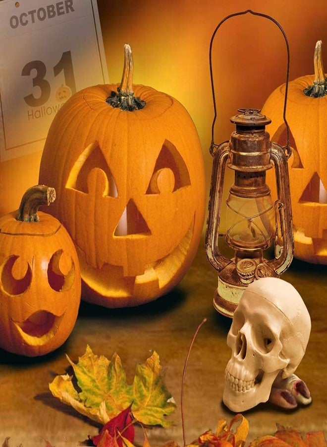 EVOTECH SCIENTIFIC Mini Human Skull Model, 3 Parts Palm-Sized Anatomy Skull Model with Removable Skull Cap & Full Set Teeth, School Teaching-Learning Tool, Fun Decorations Halloween Decorations Pirate Themed Decorations - Image 4