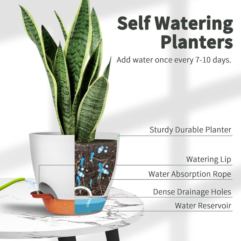 GARDIFE Plant Pots Set of 2 Pack 8 inch,Planters for Indoor Plants with Drainage Holes, Modern Decorative Flower Pots for All House Plants, Flowers, White - Image 3