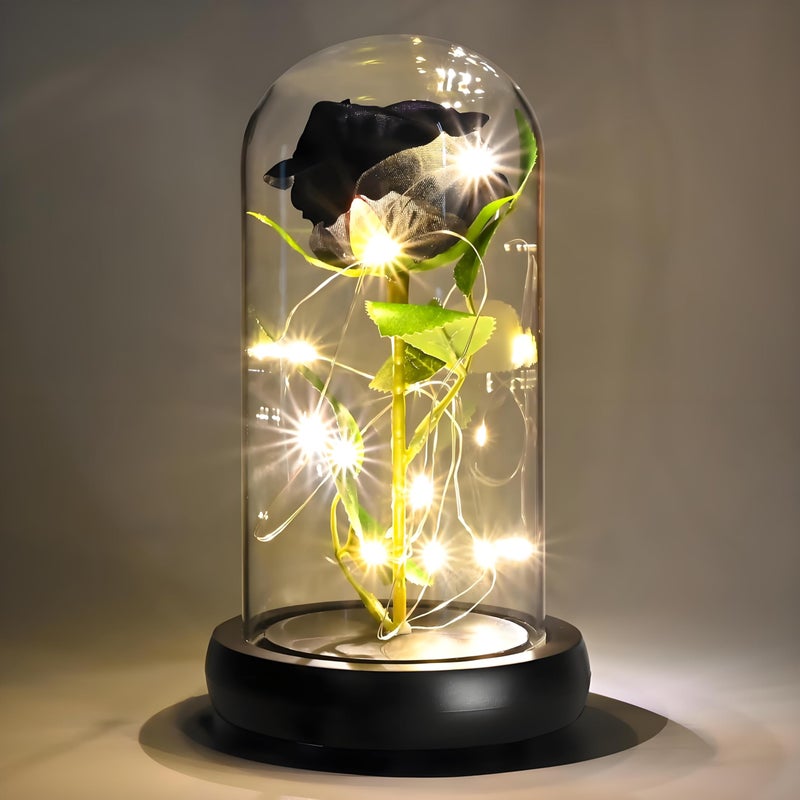 QUELIEN Black Roses in Glass DomeEternal Rose Gift for WomenLasts Forever Home DecorMothers Day Christmas