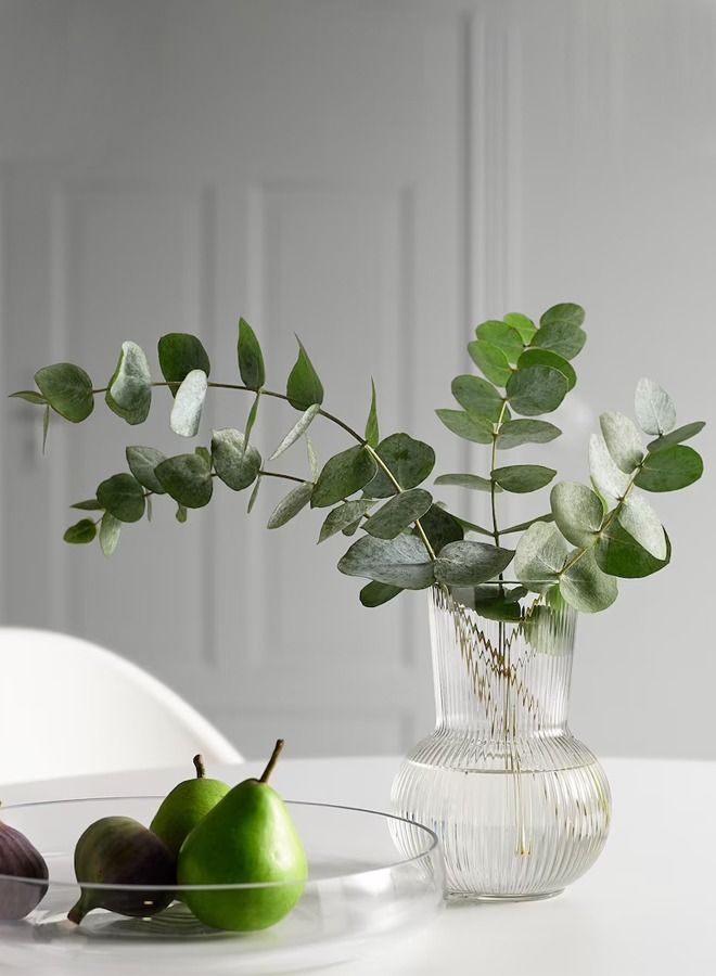 سويس كانتون فازة زجاج شفاف فاخرة 17 سم - Image 2