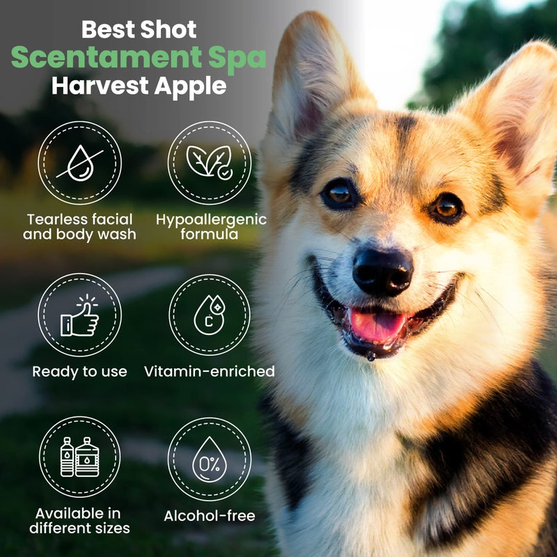 Best Shot Scentament Spa Botanical Body Splash, Harvest Apple, 8 oz - Image 4