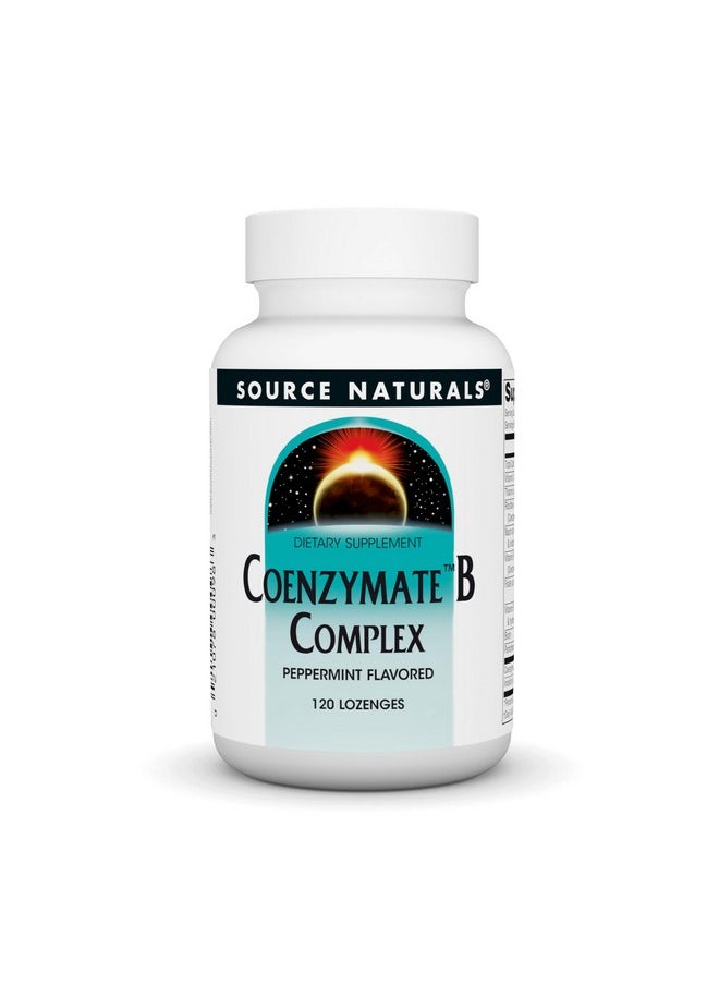 Source Naturals Coenzymate B Complex - نكهة النعناع التي تذوب في الفم - فيتامينات ب - 120 قرص استحلاب - pzsku/Z87FD236D689A45C15CAFZ/45/_/1740203154/7cb74b14-28f7-4006-b435-844e4e9d1002