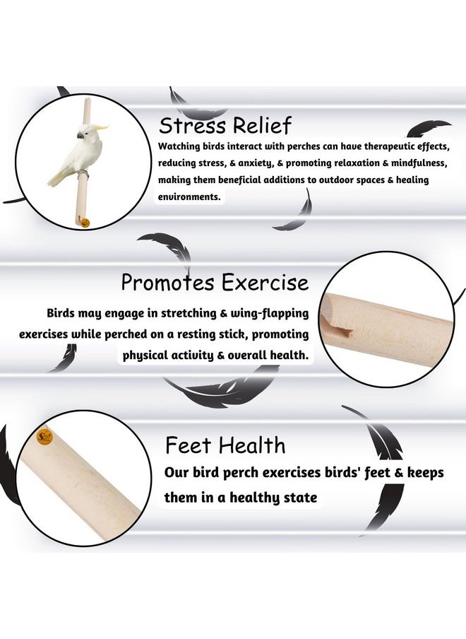 Sage Square Natural Wood Bird Perch For Cage - Promotes Healthy Feet And Nails, Perfect For Parakeets & Cockatiels, Natural, Durable, And Comfortable Roosting Spot For Your Feathered Friend  - Image 5