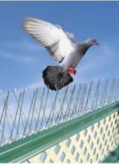 KNP KNP Bird Spikes with a Plastic Base in a Pack of 10 Offer an Effective Solution to Deter Birds from Landing on Various Surfaces.  - Image 3
