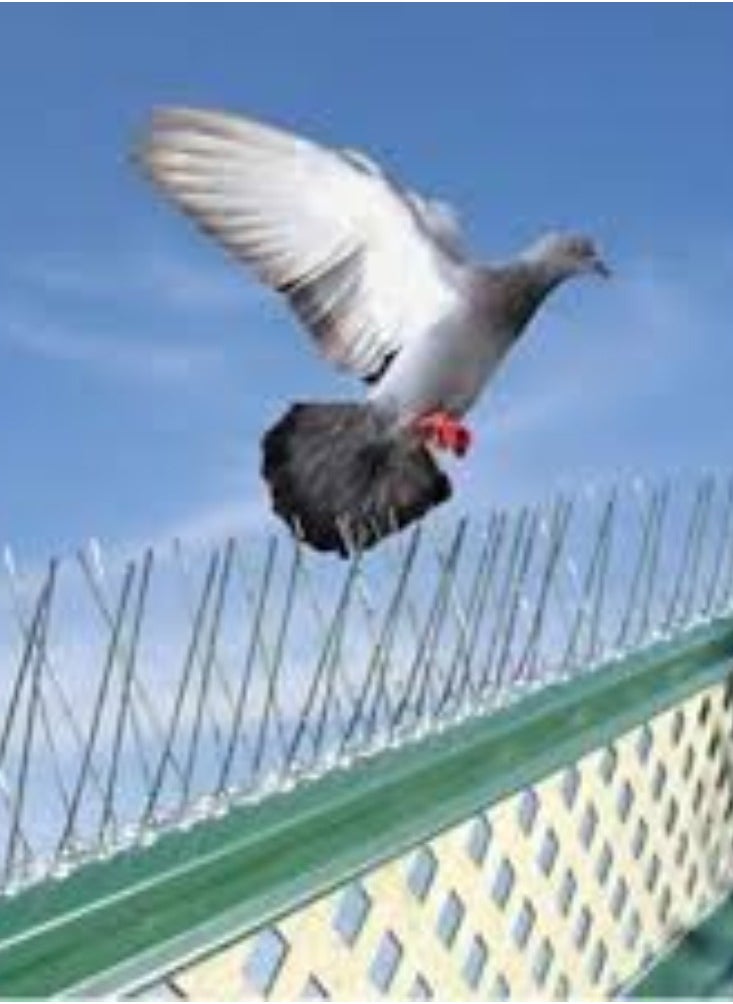 KNP - KNP Bird Spikes with a Plastic Base in a Pack of 10 Offer an Effective Solution to Deter Birds from Landing on Various Surfaces. - Image 1