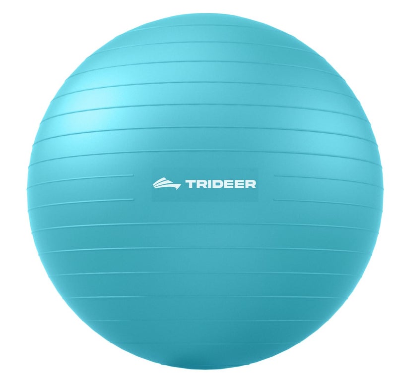 Trideer Extra Thick Yoga Ball Exercise Ball, 5 Sizes Ball Chair, Heavy Duty Swiss Ball for Balance, Stability, Pregnancy and Physical Therapy, Quick Pump - Image 1