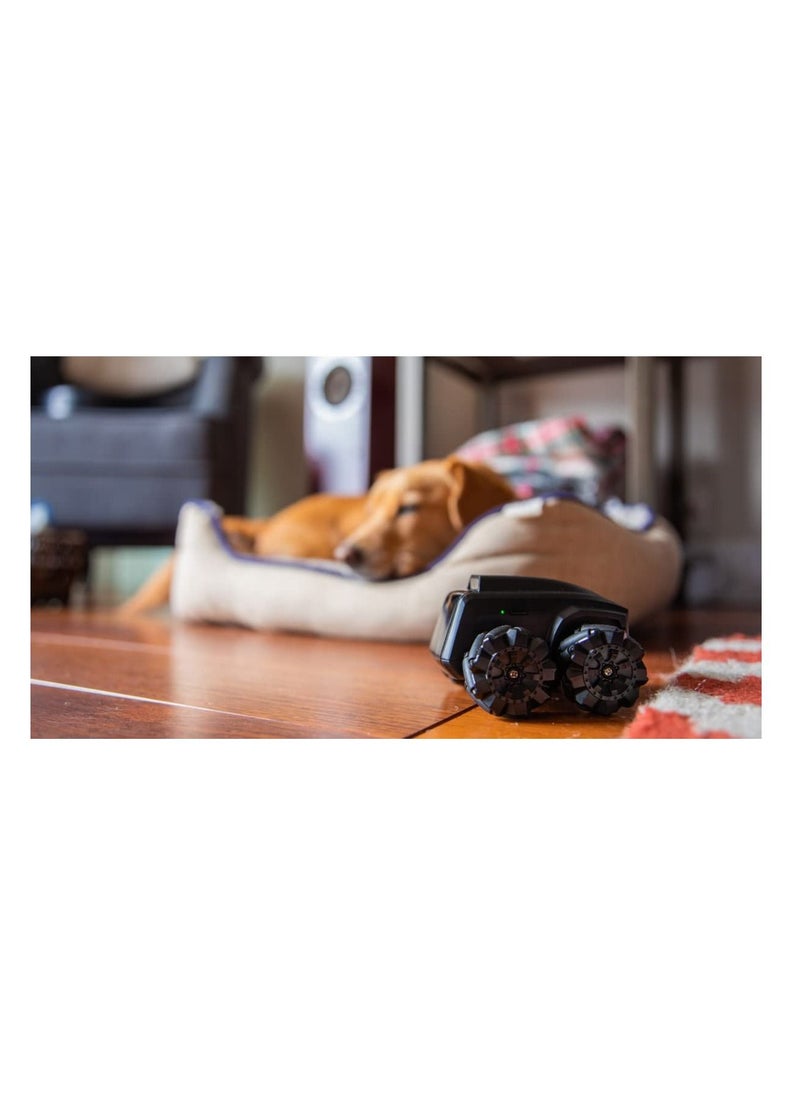 Moorebot - Moorebot Scout - Tiny AI-Powered Smart Camera Mobile Robot for Monitoring, Work with Alexa and Google Home, 1080P, Human and Pets Recognition, FWD Mecanum Wheels, Auto Patrol and Docking, Night Vision - Image 1