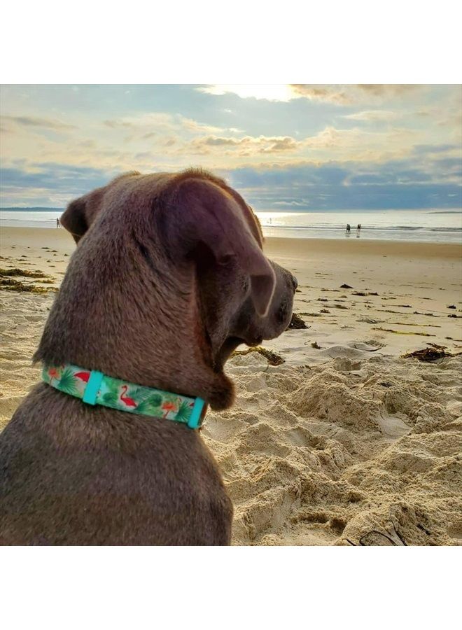 YUDOTE Martingale Dog Collars with Quick Snap Buckle, Nylon with Flamingo Pattern Ribbon, No Pull Collars for Female Male Small Dogs.(Extra Small,Flamingo) - Image 4