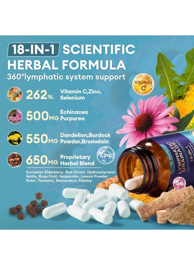 Totaria Lymphatic Drainage & Swelling Relief Supplement  with Echinacea, Dandelion, Bromelain & Antioxidants ,120 Capsules - Image 4