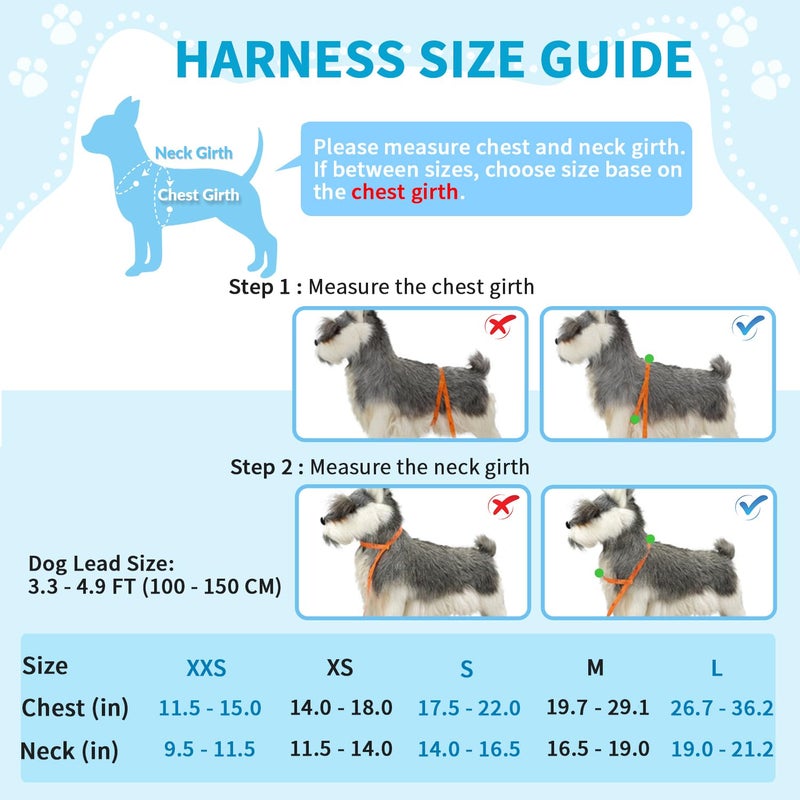 Lukovee No Pull Dog Harness and Leash Set, Soft Padded Small Dog Harness, Neck & Chest Adjustable Reflective Vest Puppy Harness with 4ft Lightweight Anti-Twist Dog Leash for Small Dogs (S, Blue) - Image 4