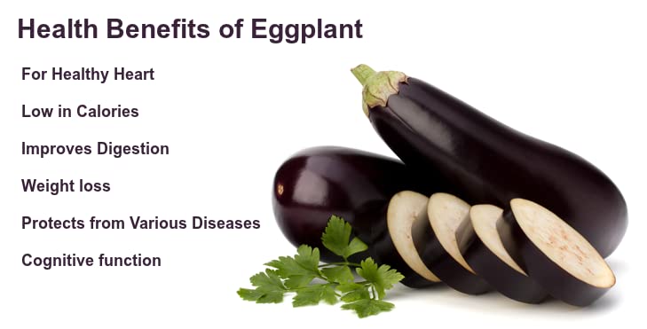 PlantaZee WoFLoo Live Brinjal - Baingan Vegetable Plant with Pot - Image 4