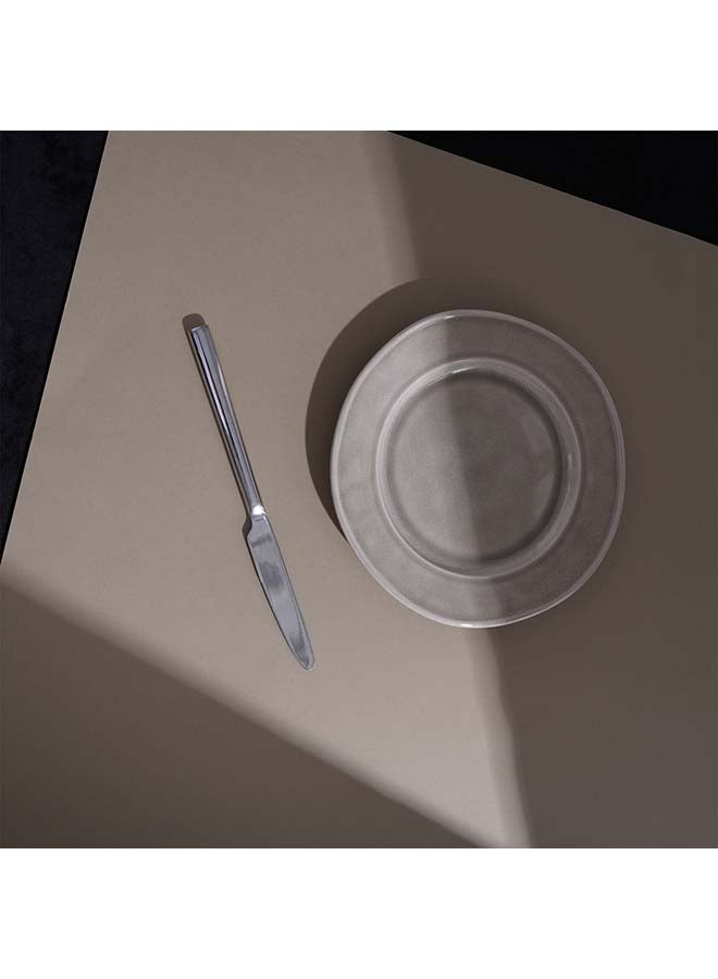 Famiware أطباق عشاء أورا 6 قطع بتزجيج تفاعلي بحجم 10.25 بوصة، مقاومة للخدش، آمنة للاستخدام في الميكروويف وغسالة الصحون، رمادي داكن - Image 2