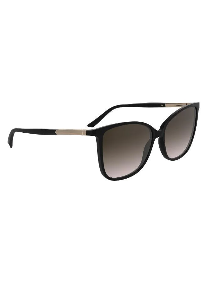 كالفن كلاين Ck25504S Butterfly Sunglasses
