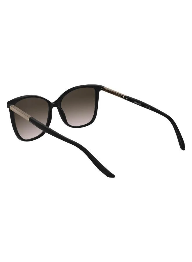 كالفن كلاين Ck25504S Butterfly Sunglasses