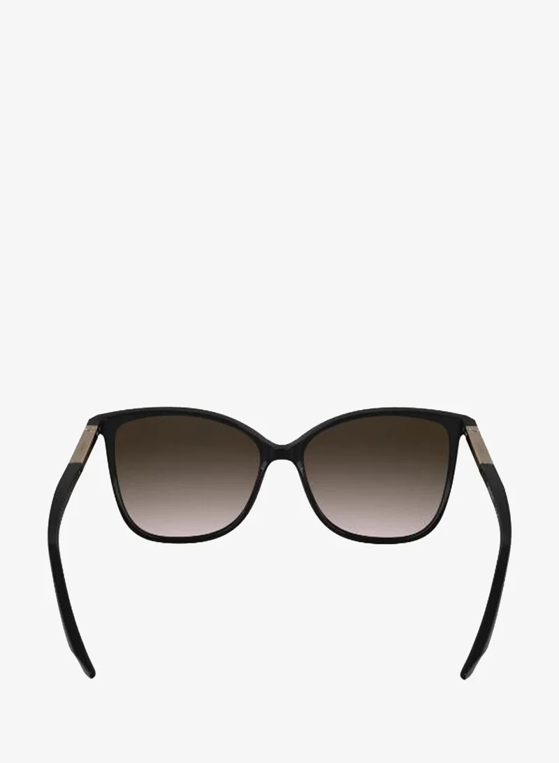 CALVIN KLEIN Ck25504S Butterfly Sunglasses