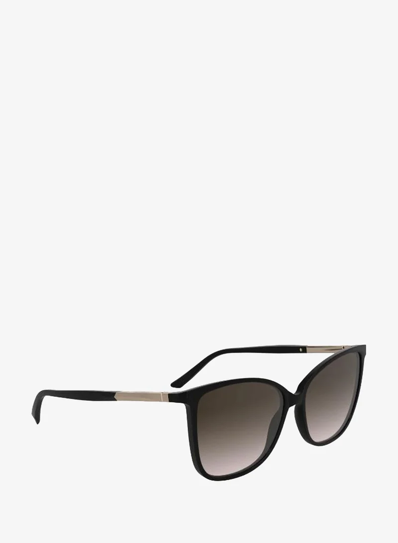 Calvin Klein  Ck25504S Butterfly Sunglasses for Women | Best Price UAE
