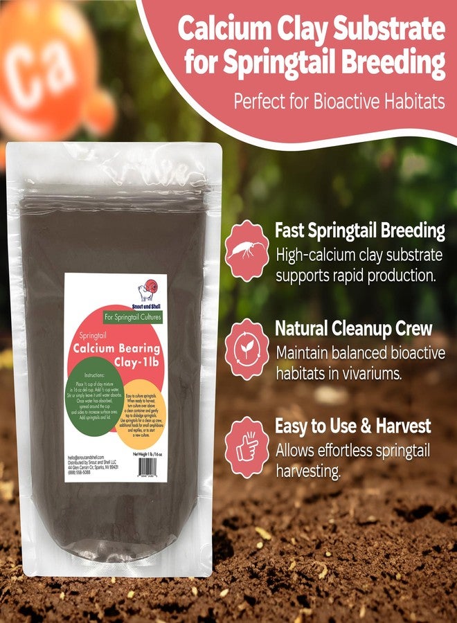 Snout and Shell Springtail Calcium Bearing Clay - 1 lb | Ideal for Culturing Springtails, Reptile and Amphibian Terrariums, and Natural Habitat Cleanup Crew - Image 2