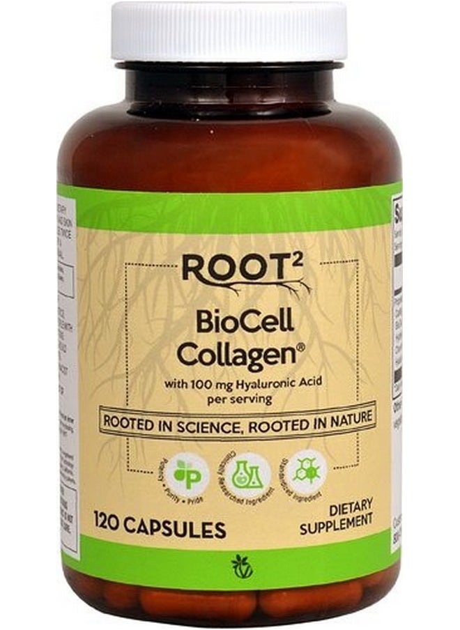 Vitacost Brand Vitacost Hyaluronic Acid With Biocell Collagen Ii 100 Mg Per Serving 120 Capsules  - Image 2