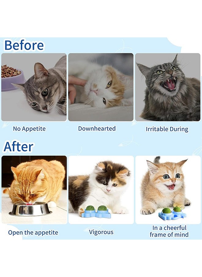 Edible Wall Catnip Ball, Indoor Rotatable Interactive Double Ball for Cats Chew Toy, Treats for Cat Teeth Clean Cat Nips Organic Ball