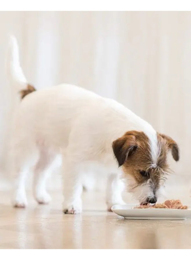 شيسر سلسلة طعام رطب للكلاب من شيسير - دجاج مع لحم الضأن - 7x 85 جرام (7 علب) - Image 3