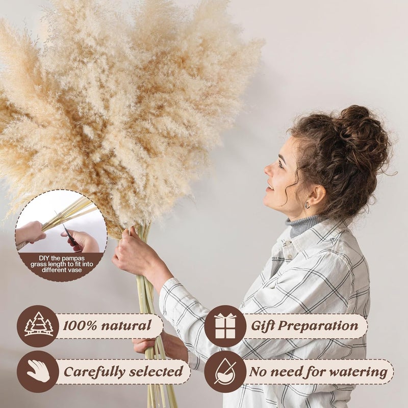 Pasuvsigt 12pcs 40'' Dried Pampas Grass Decor - Tall-Large Pampas Grass - Natural Beige - Boho Home Decor - Image 3