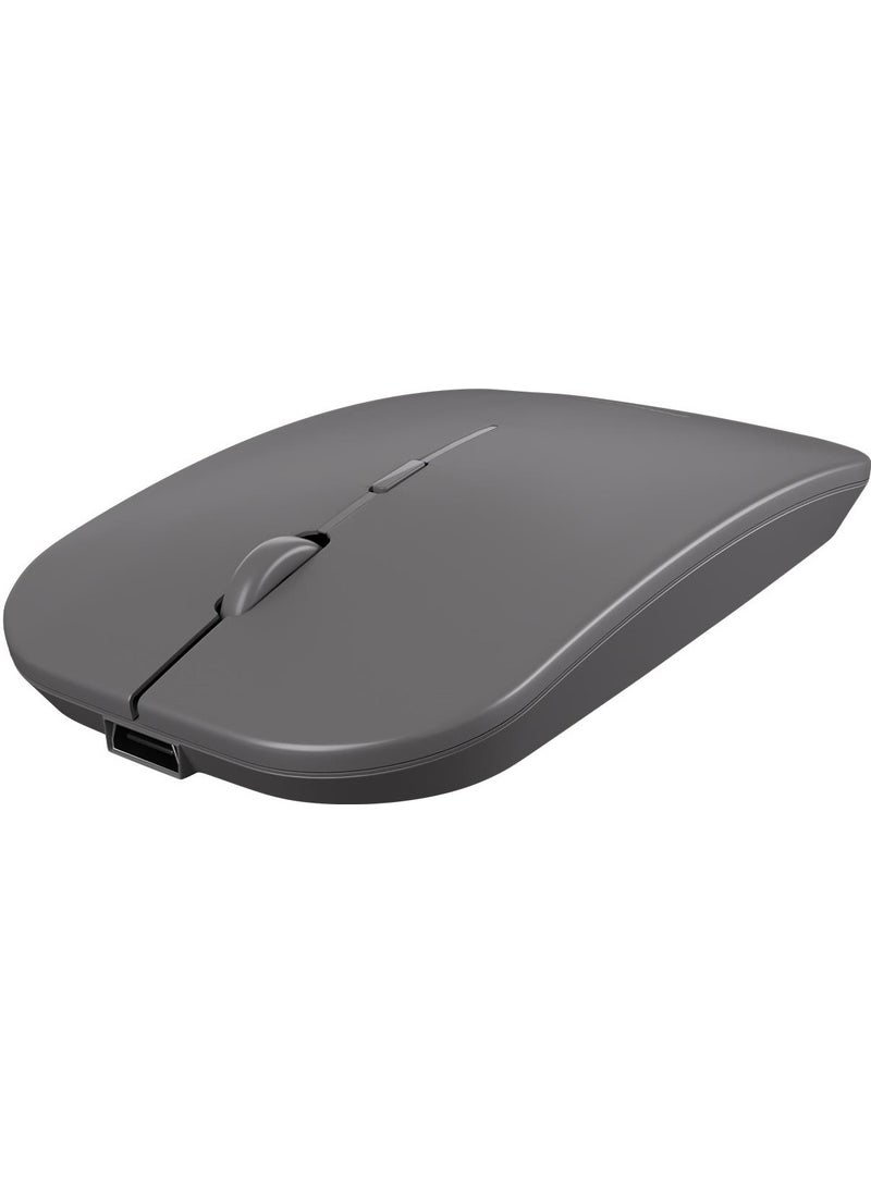 Leason LE101 Hybrid Bluetooth & Wireless Rechargeable Wireless Mouse - Dark Gray  - Image 1