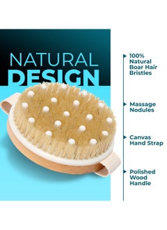 BONITO Dry and Bath Body Brush,  Shower Body Brush， Exfoliating Brush with Soft Massage Nodules, Body Scrubber  - Image 5