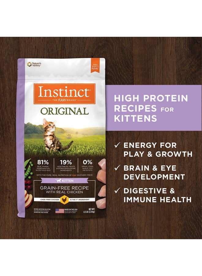 Instinct Original Kitten Dry Cat Food, Raw Coated Kibble, High Protein, Grain Free Recipe - Real Chicken, 4.5 lb. Bag - Image 5