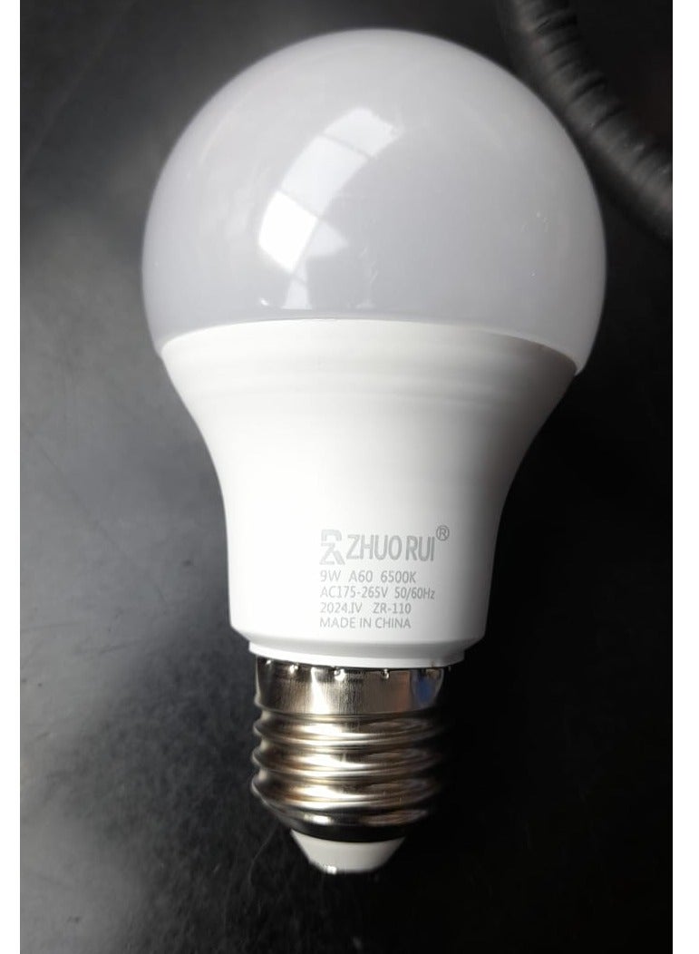 BULB E27 9W (PKT OF 10) DAYLIGHT COLOR 6500K  - Image 1