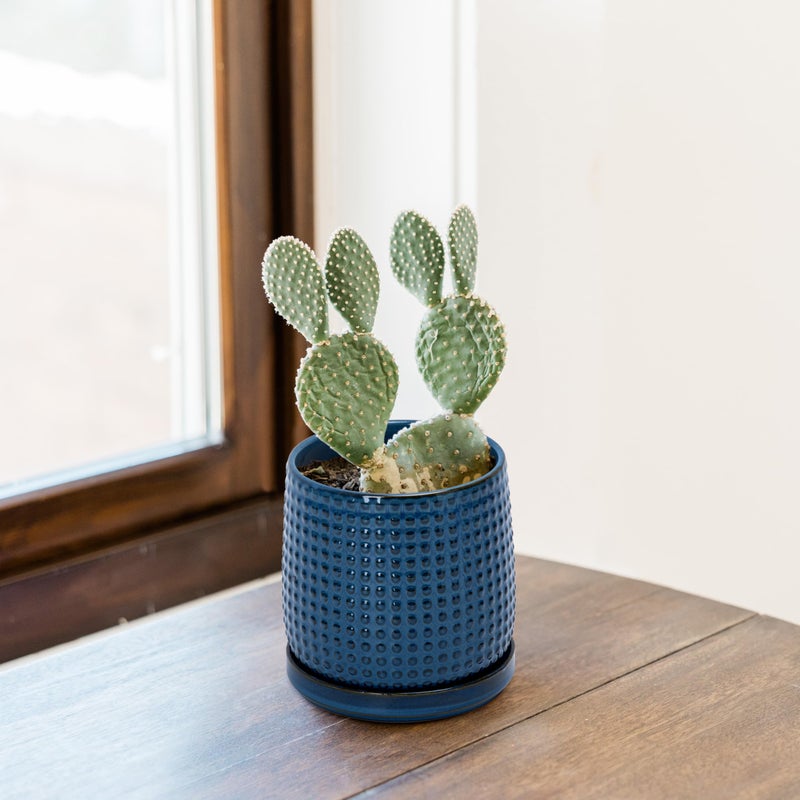 D'vine Dev 4 Inch Ceramic Beaded Stoneware Planter Pot - Flower Pot with Drainage Holes and Saucers for Indoor Succulent Plants or Flowers, Midnight Blue, 27-C-Z-3 - Image 5