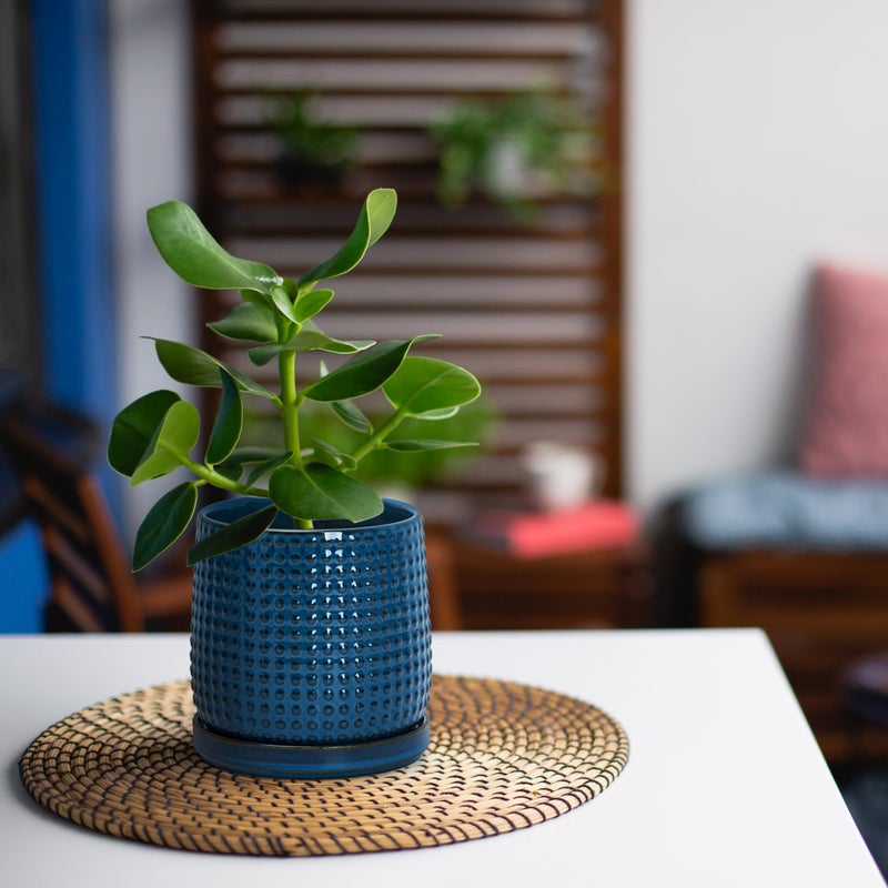 D'vine Dev 4 Inch Ceramic Beaded Stoneware Planter Pot - Flower Pot with Drainage Holes and Saucers for Indoor Succulent Plants or Flowers, Midnight Blue, 27-C-Z-3 - Image 2