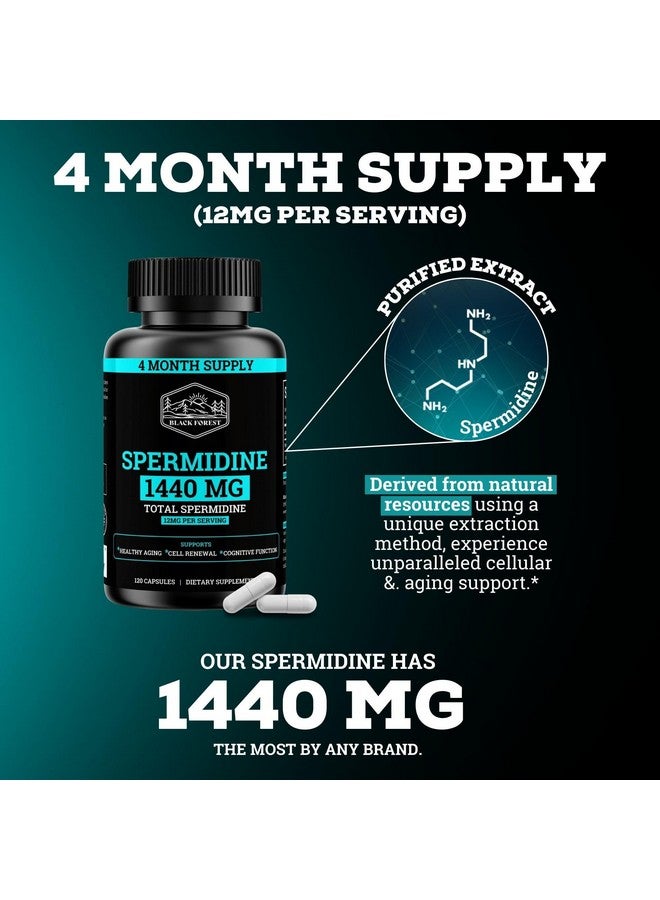 Black Forest Spermidine Supplement (1440mg of 99% Pure Spermidine Supplements For Women & Men) 4 Months Supply (100X More Potent Than Wheat Germ Extract) 12MGS Per Serving For Cellular Health, Anti-Aging & Energy - Image 5