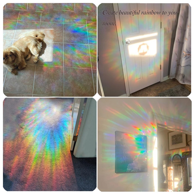 Tiz Tlloz Rainbow Anti Collision Window Decals - Static Clings Stickers for Bird Strikes, Prismatic Non-Adhesive Vinyl Stickers for Glass Windows, Save Birds from Window Strikes (BranchBirds-12) - Image 5