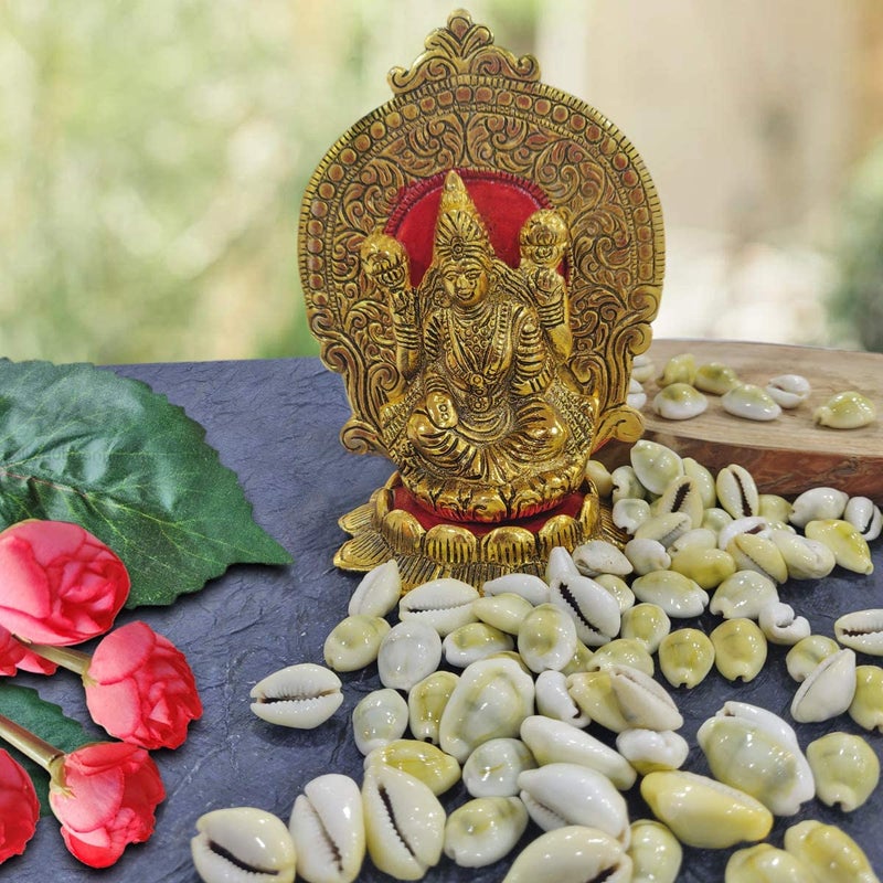 9Dzine Natural Pili Lakshmi Kaudi for Wealth Success 21 Pcs Original Yellow Kawri Cowrie for Diwali Puja Temple Festival Gifts Laxmi Pooja Room - Image 4