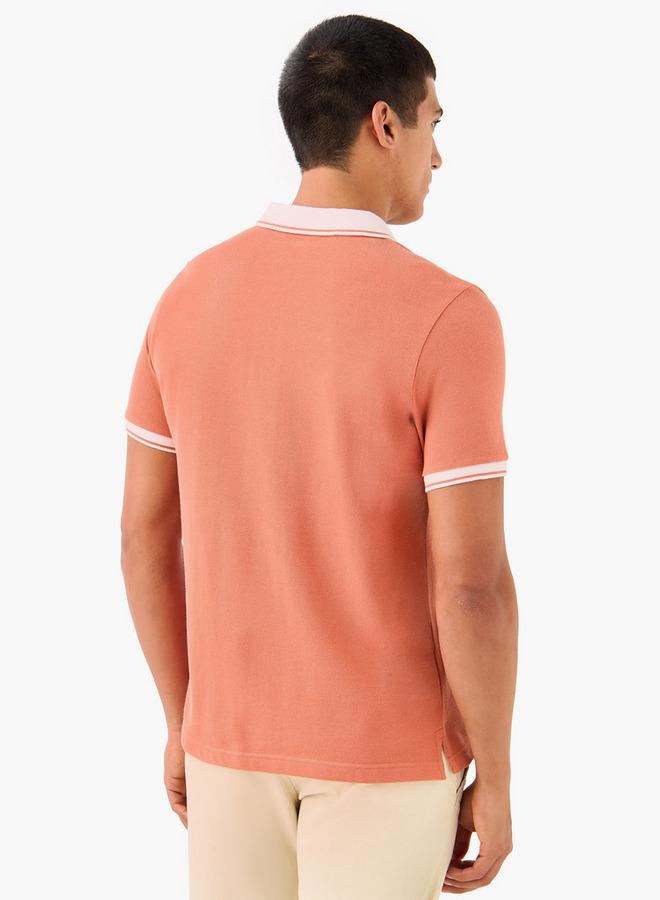 سبلاش فيڤ تيشيرت بولو مطرز - Image 3