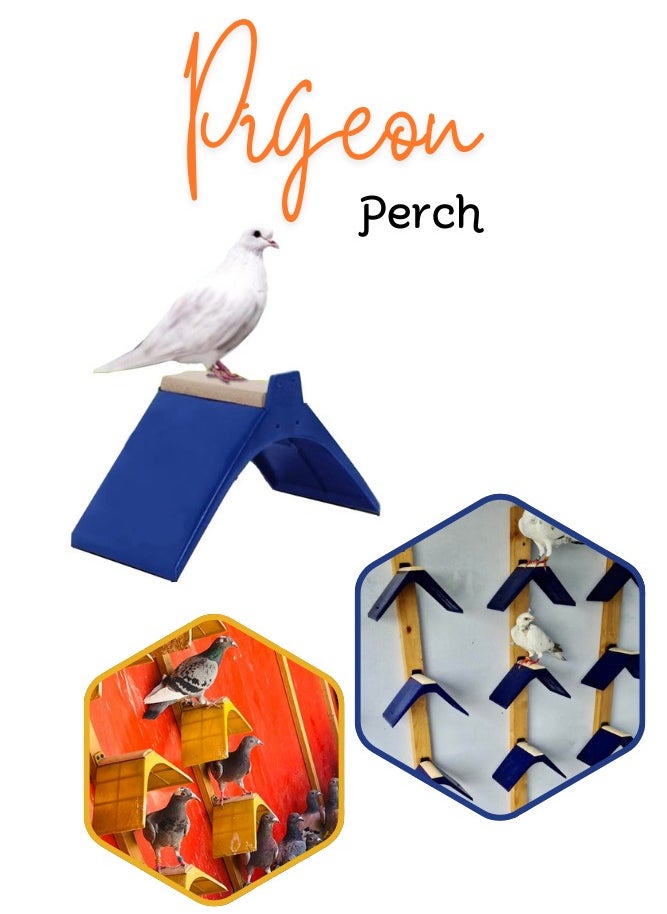 Pigeon & Bird Perch Stand (Pack of 5) - pzsku/Z8817F1E8A6846BA8FBF6Z/45/_/1717855152/c55bb92f-a05f-47fe-bcc1-c09d4e2cc415